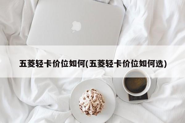 五菱轻卡价位如何(五菱轻卡价位如何选)