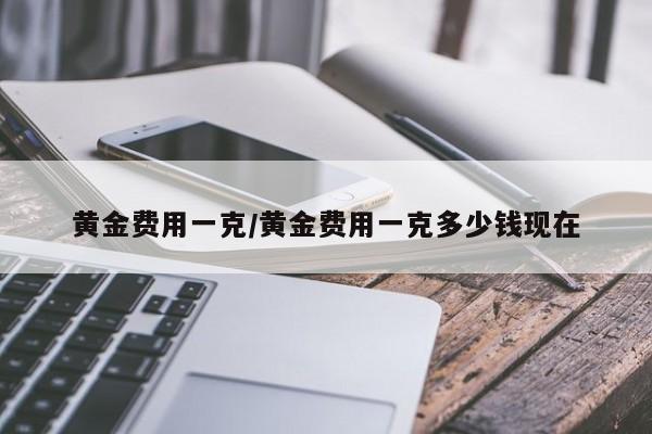 黄金费用一克/黄金费用一克多少钱现在